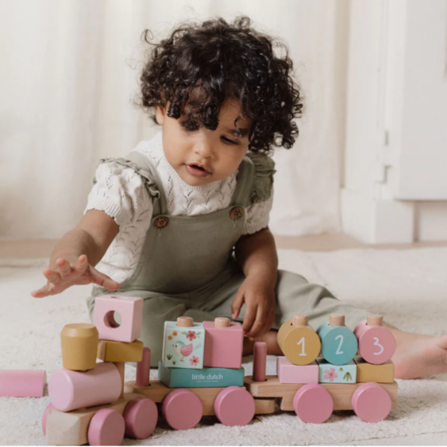 Little dutch trenino