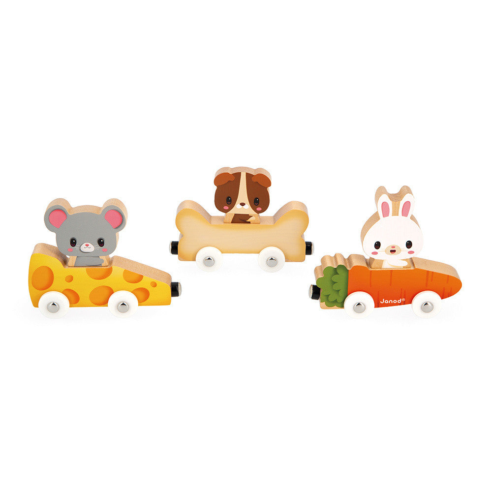 Animali Magnetici Janod, gioco con calamite in legno per bambini dai 18 mesi