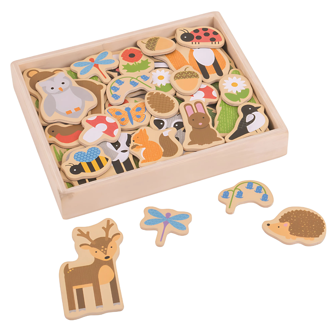 Bigjigs magneti