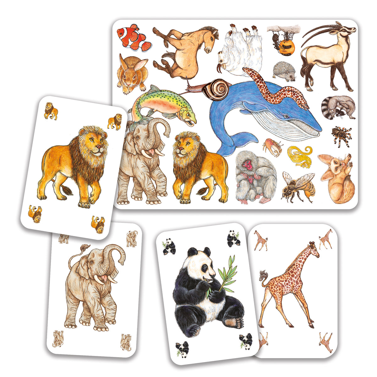 Zanimatch Djeco – scatola del gioco di carte