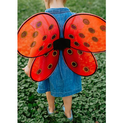 Bambina indossa un costume da coccinella con ali rosse e pois neri, perfetto per il Carnevale neonata e feste a tema