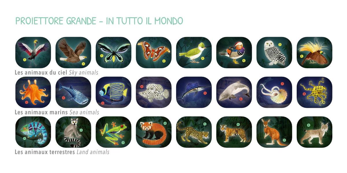 Idea regalo bambino 4 anni: proiettore degli animali Moulin Roty