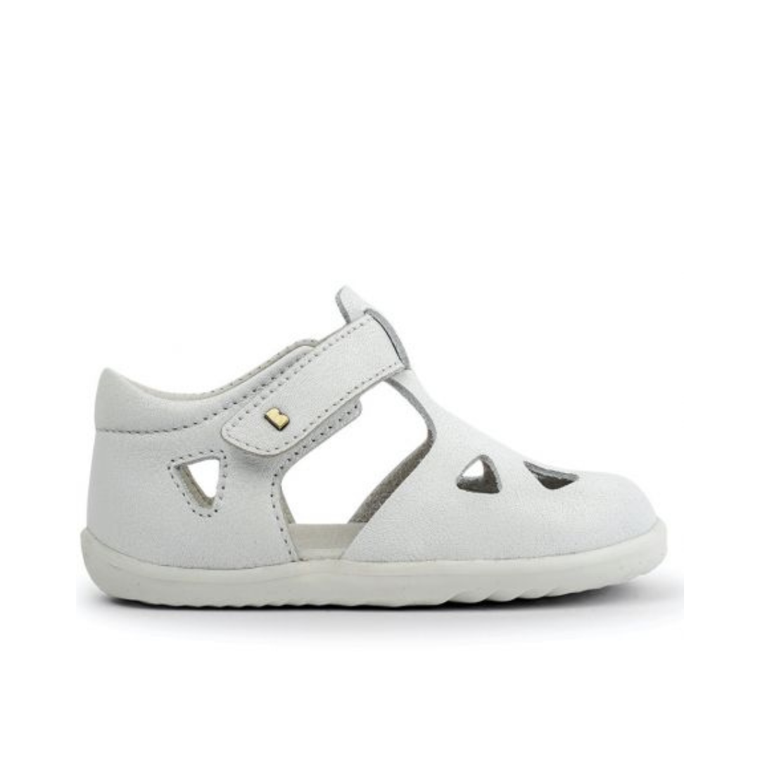 ragnetto bianco
